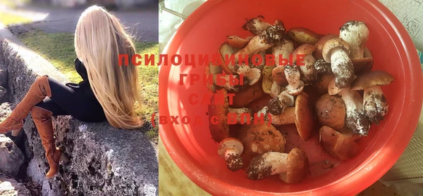 таблы Липки