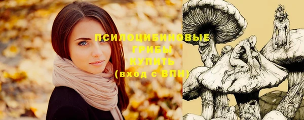 mix Лиски