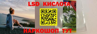 ешки Кингисепп